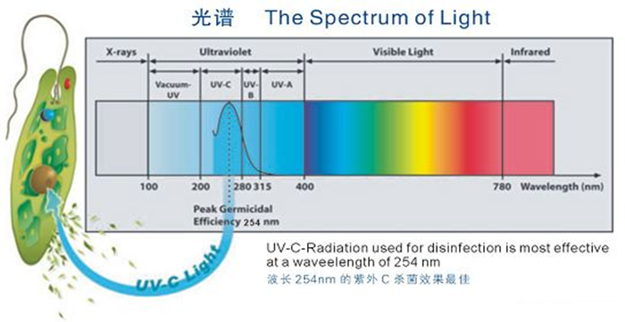 科普！紫外線殺菌燈對(duì)人體影響及正確使用方法